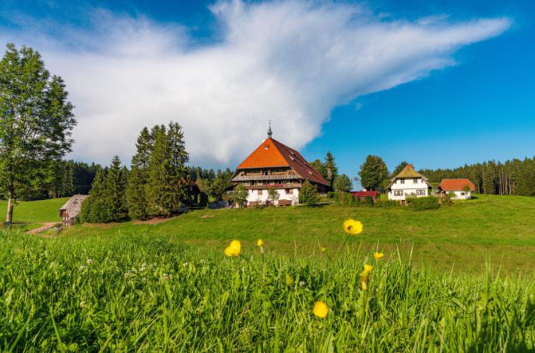 Der Fallerhof im Schwarzwald