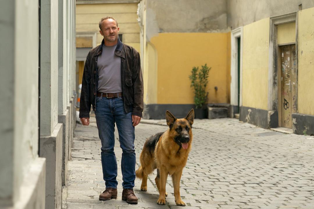 "Kommissar Rex" und sein Herrchen Max Steiner (Maximilian Steiner) ermitteln gemeinsam in Wien